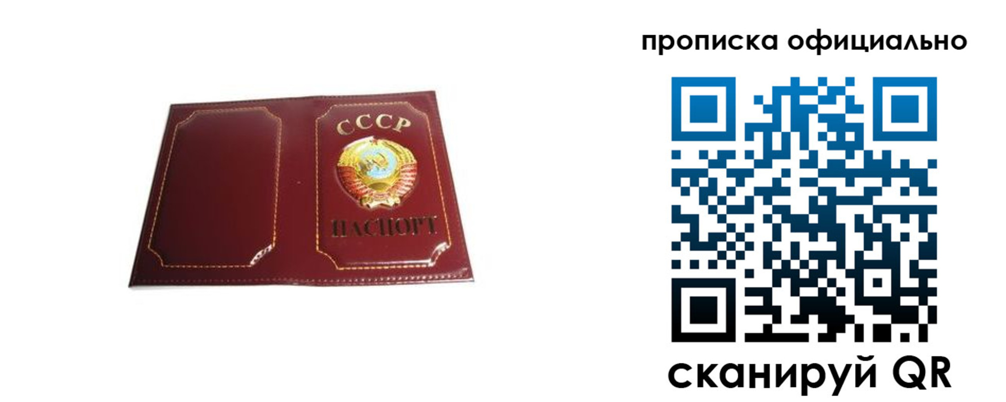 временная регистрация поиск в Краснознаменске